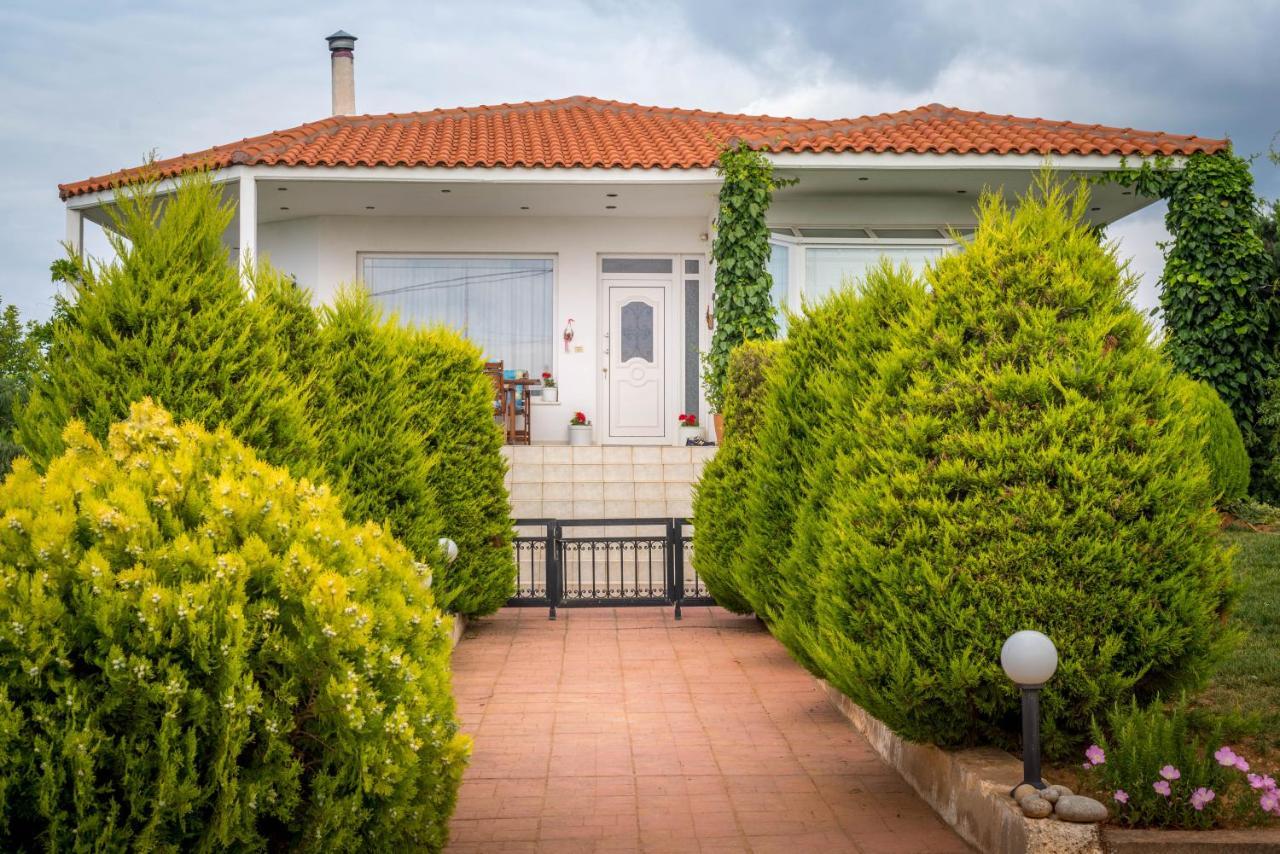 Vineyard Country House With Panoramic Seaview Alexandroúpolis Ngoại thất bức ảnh