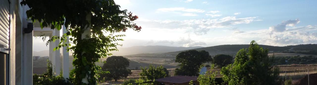 Vineyard Country House With Panoramic Seaview Alexandroúpolis Ngoại thất bức ảnh