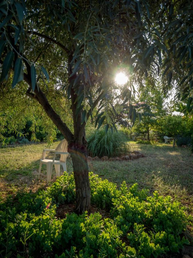 Vineyard Country House With Panoramic Seaview Alexandroúpolis Ngoại thất bức ảnh