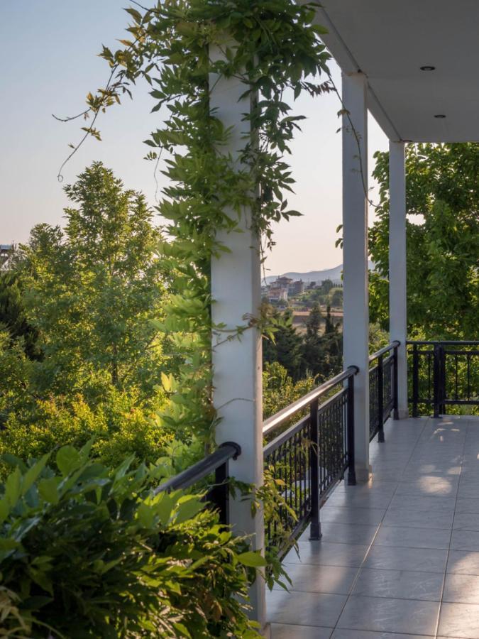Vineyard Country House With Panoramic Seaview Alexandroúpolis Ngoại thất bức ảnh