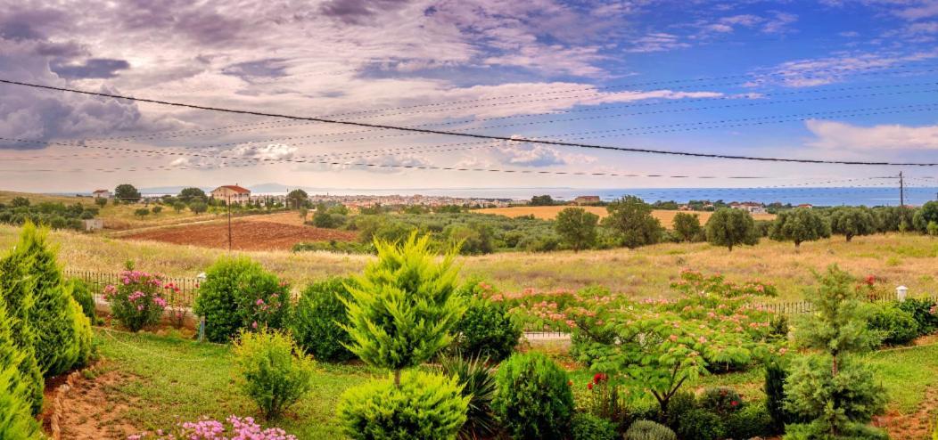 Vineyard Country House With Panoramic Seaview Alexandroúpolis Ngoại thất bức ảnh