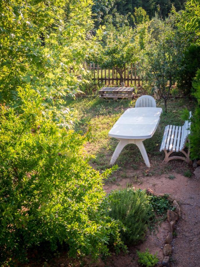 Vineyard Country House With Panoramic Seaview Alexandroúpolis Ngoại thất bức ảnh